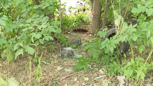 Открытые люки на каждом шагу: за два месяца в области приняли 100 заявок